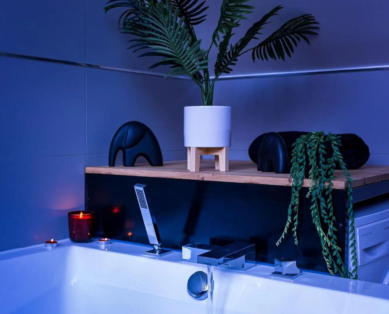 Jungle Chic & Spa Bourgoin-Jallieu France